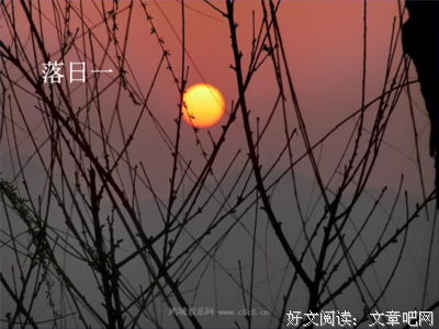 独立自主的句子