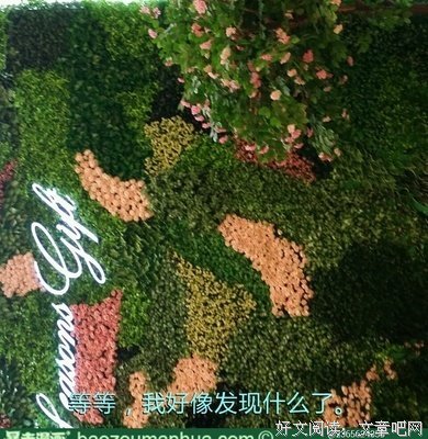 关于弯曲的格言