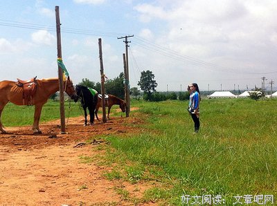 同自己较劲的姑娘，总有一天你不再什么都想去征服