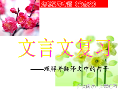 有关言的句子