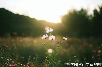 一一的句集的优美句子