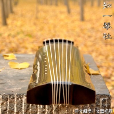 仲尼Johnny名言