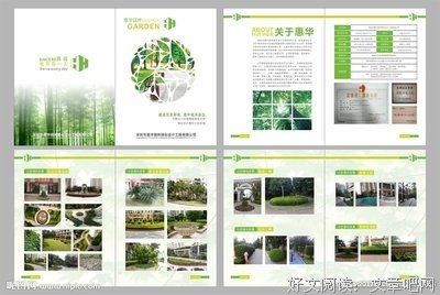 华业精彩语录