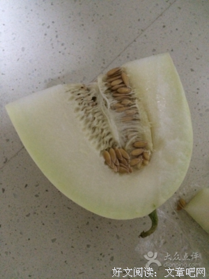 最经典的薛青杉的名言