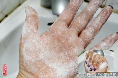 最新的《遇见好实茶花》经典的句子