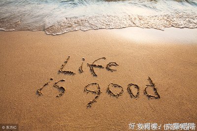 活着尚且不易，又何必想太多