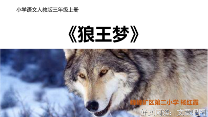 最全的《欲望与头脑》语录摘抄