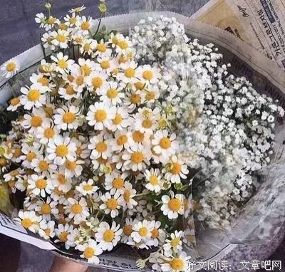 《长长的我有 我们慢慢多人也走》经典语录