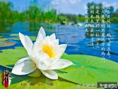 最经典的《一个人的自我的鉴证》名句欣赏大全
