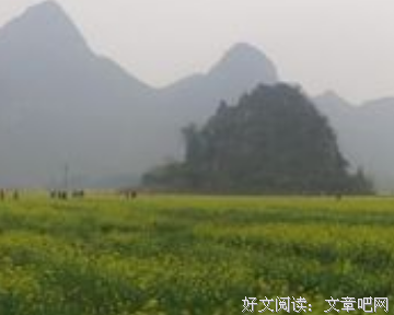 《羞羞的铁拳》好段摘抄