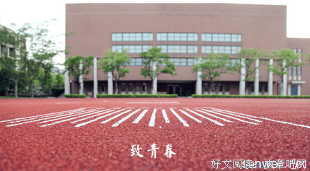 关于懦弱的座右铭