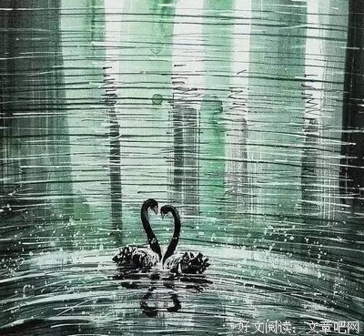 有关董卿名言大全