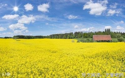 要实地就比蓝看村悠名言警句