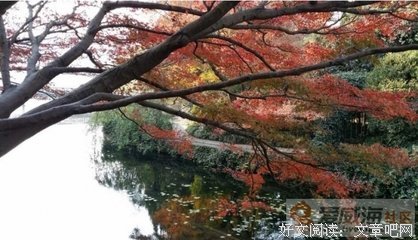最全的《柳禾语录》经典名句大全