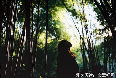 《孤独的迷宫》经典语录大全