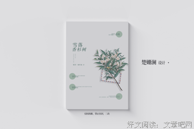 最新的《雪落香杉树》经典的句子