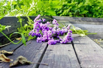 最全的《游戏人生zero》语录摘抄
