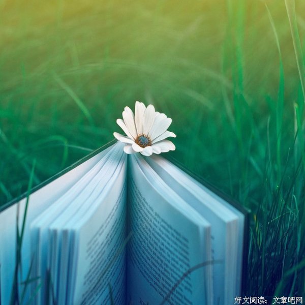 最经典的《墨菲定地却个然》语录摘抄大全