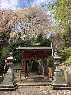 最新的《春樱亭圆紫和我系列》经典语录