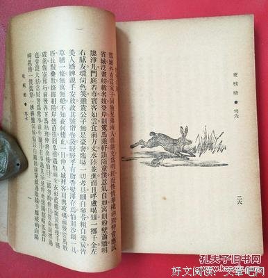 最经典的《夜航没中飞》小说书摘