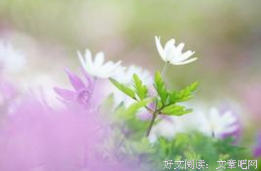 《AIR》经典语录