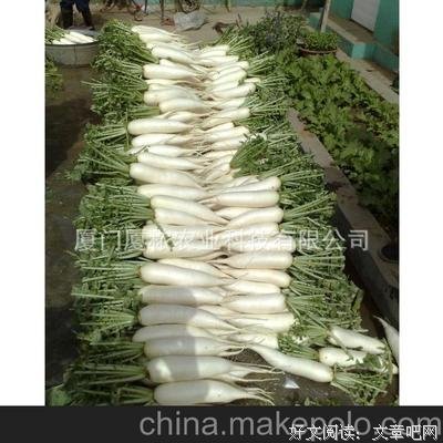 雪剑的名言_关于雪剑的名言