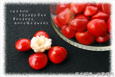 描写相思子的语句摘抄