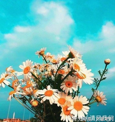 描写得意洋洋的经典句子