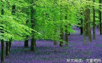 品味人生的句子