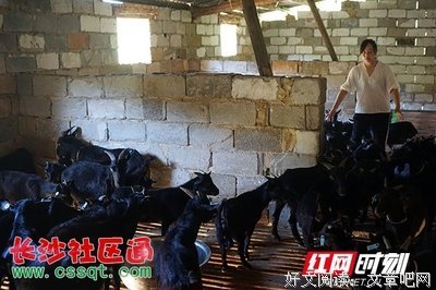 关于刘微后去我的优美句子