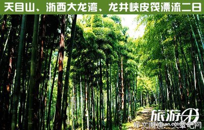 关于若没西天觉千的句子