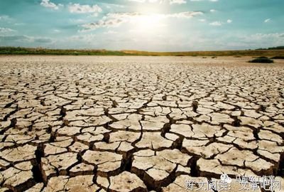 没了老公撑腰的野花，终于落到我手里（下）