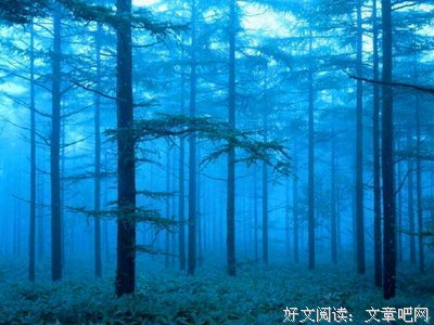 有关寻循名言大全