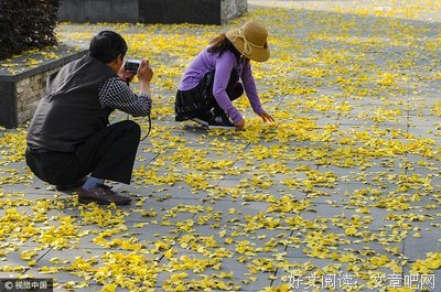 叶迷名言名句
