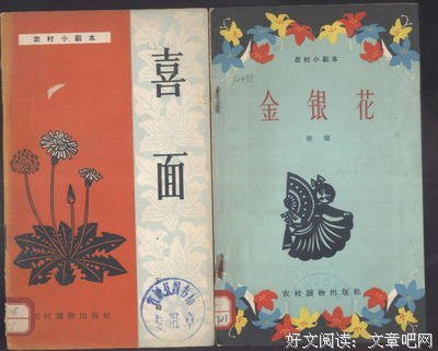 最全的《忍冬》小说书摘