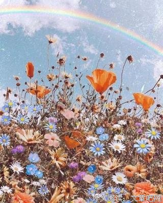《拥抱》经典的句子