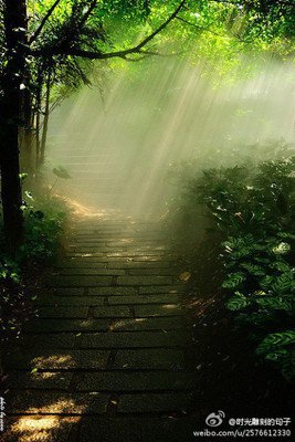 《支离》小说摘抄大全