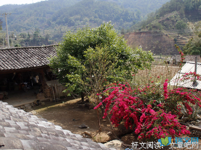 最新的《故乡》名句欣赏