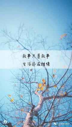 《故事》经典句子