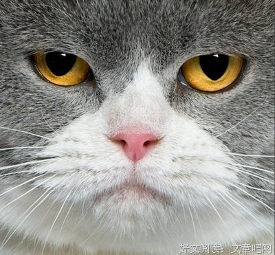 最经典的《暖暖》经典句子