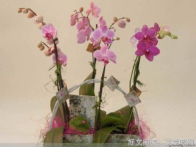 最全的《朋友》经典语录