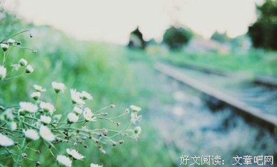 最全的《活法》经典的句子