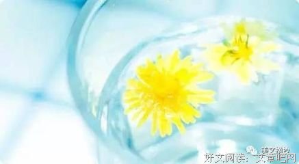 最新的《皇叔》小说摘抄
