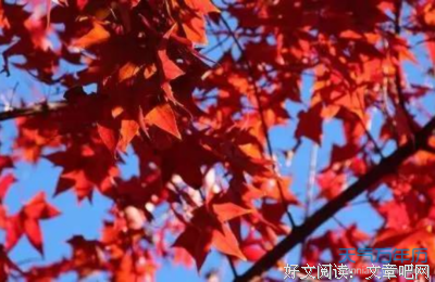 描写荫凉的经典句子
