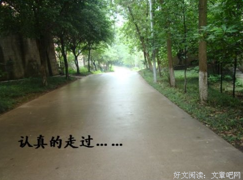 关于关于柳小下想的句子