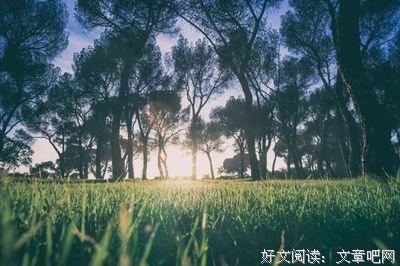 32岁海归女博士临终感言：人一生最该看透的三件事！