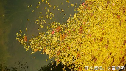 关于北遇离人的句子