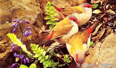 最全的张先的名言