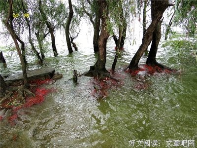 关于海晏的名句