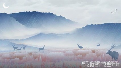 最新的《边城》语录摘抄